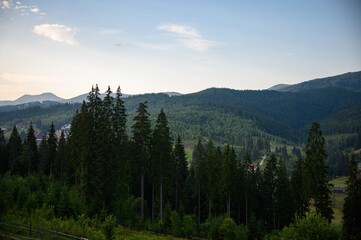 mountains landscape with sun and alpine pines. Sunrise