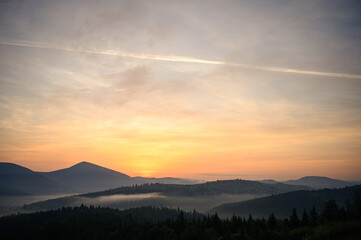 mountains landscape with sun and alpine pines. Sunrise