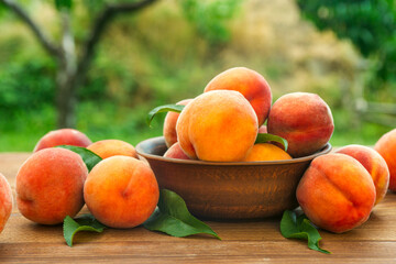 Ripe and tasty and juicy peaches lie on a plate on a wooden table in the garden. Fresh sweet peaches on the wooden table, selective focus