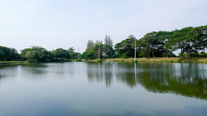 Obraz premium Landscape view of serene lakeside surrounded by trees in the park