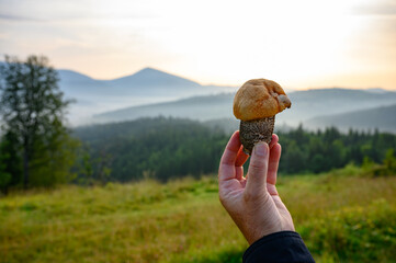 Mushroom in hand.Panoramic mountain view. Summer in the mountains
