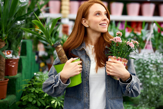 redhead woman with green plants in hands, young caucasian ldy loves gardening and flowers, want to buy live plants