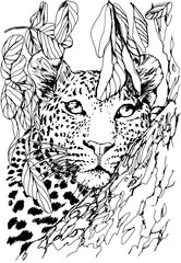 Leopard with leaves graphic illustration