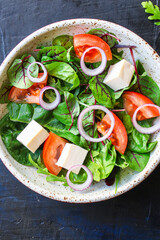 Greek salad vegetables cheese vegetarian snack on the table tasty serving size portion top view place copy space for text keto or paleo diet