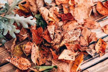 Yellow fallen autumn leaves. Autumn atmosphere, herbarium. Orange leaves on a brown textured wooden table. Autumn background for your desktop.