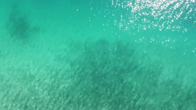 close up of a turquoise greek sea shimmering in the sunlight