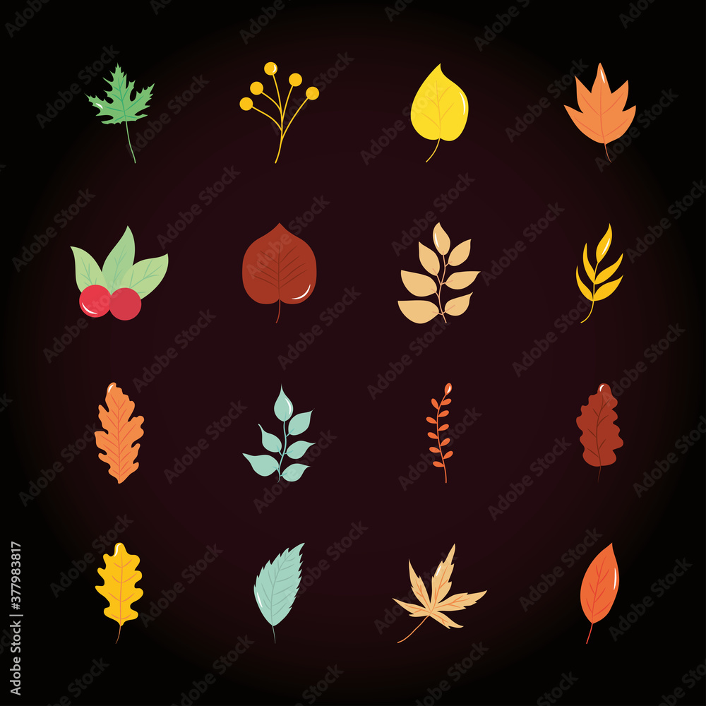 Wall mural linden leaf and autumn leaves icon set, flat style