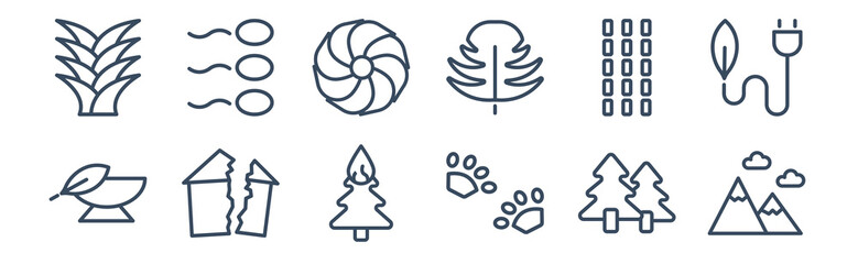 12 pack of icons. thin outline icons such as mountain colapse, four toe footprint, damaged, bamboo sticks, hibiscus, fertilize clinic for web and mobile apps, logo