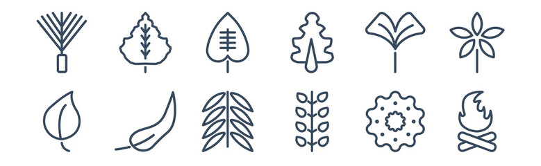Fototapeta premium 12 pack of icons. thin outline icons such as camping bonfire, american mountain ash, falcate, ginkgo, cordate, null for web and mobile apps, logo