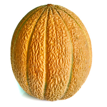 Yellow Melon On White Background