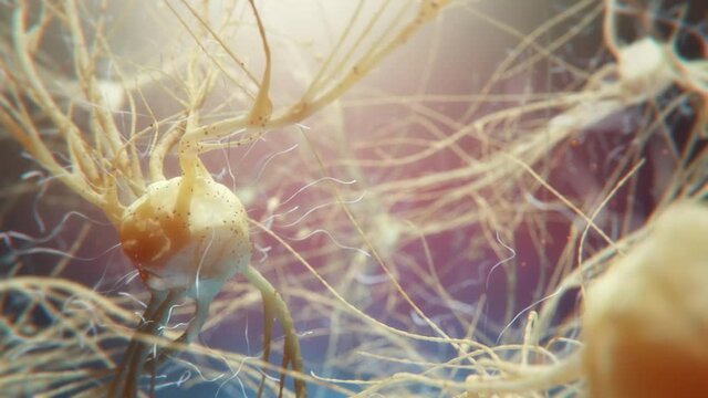 Nervenzelle im Gehirn eines Lebewesens