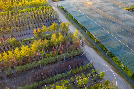Shop or nursery of ornamental plants. Drone view