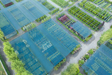 Fototapeta premium Shop or nursery of ornamental plants. Drone view