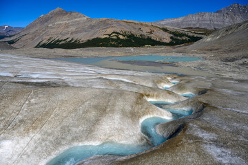 Summer sun melting ice on the Athabasca Glacier in the Jasper National Park, Alberta, Canada