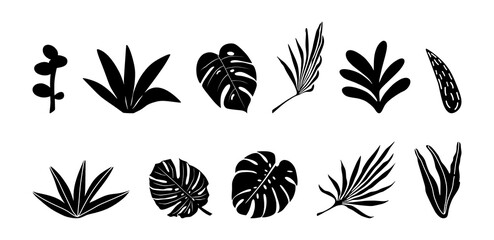 Tropical flowers, palm leaves, jungle leaves, hibiscus. Vector exotic floral illustration, Hawaiian bouquet for greeting card, wedding, Wallpaper. Set of abstract tropical leaves. Monstera, palm
