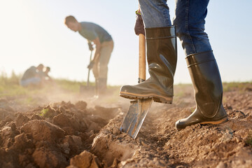Side view closeup of unrecognizable workers digging soil with shovels and planting crops at vegetable plantation outdoors lit by sunlight, copy space - obrazy, fototapety, plakaty