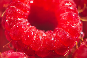 Ripe raspberry closeup wallpaper. Selective focus pattern. Whole tasty red berry diet dessert...