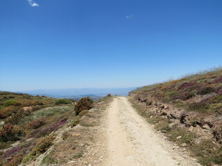 Mountain road in Spain
