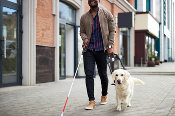 young blind man with stick and guide dog walking, golden retriever help owner to cross streets