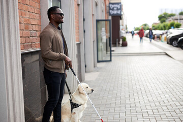 african blind guy with dog guide walking outdoors, handsome guy in dark eyeglasses hold cane for...