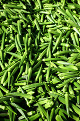 Harvested lady finger vegetables.
