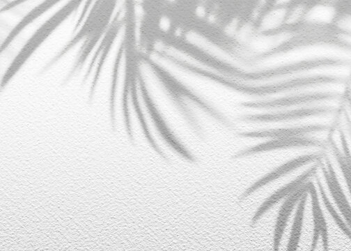 White gray grunge cement texture wall leaf plant shadow background.Summer tropical travel beach with minimal concept. Flat lay palm nature.