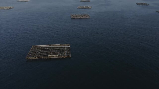 Bateas en las r&iacute;as gallegas para la cr&iacute;a del mejill&oacute;n