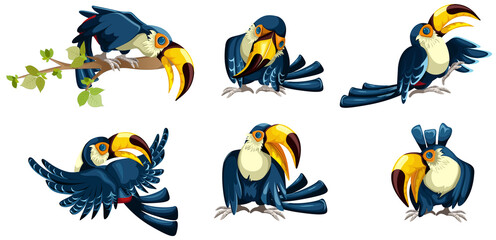 Vector image of toucans in various poses. Set. Cartoon style. EPS 10

