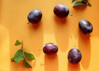 Fresh large plums on a yellow background with green leaves, close-up, top view