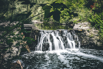 waterfall in the forest