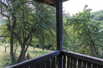 view from wooden terrace on lush forest and hill