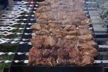 Closeup of meat kebob on the bbq