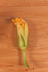 Close up of courgette flowers