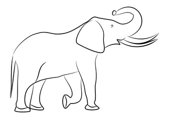 Elephant vector