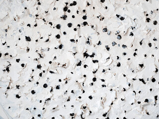 White wood surface with black holes drilled in.