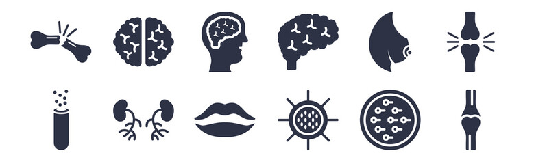 12 pack of black filled icons. glyph icons such as ball of the knee, big cellule, blood supply system, bosom, brain body organ, brain inside human head, brain upper view for web and mobile apps,