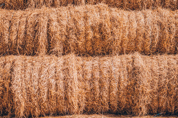 Harvesting wheat on a Sunny day. Straw stacks