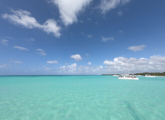 beach with palm trees in saona island in Dominican Republic 