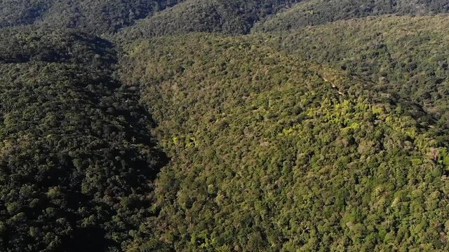 Vista de drone de mata atl&acirc;ntica preservada no Parque Estadual Carlos Botelho situado na Serra de Paranapiacaba