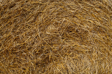 bale of hay (straw), background image, pattern, can be used as a screen saver