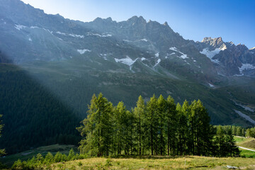 des prairies d'alpage et des sapins avec une lumière rasante et des montagne sen fond © Olivier Tabary
