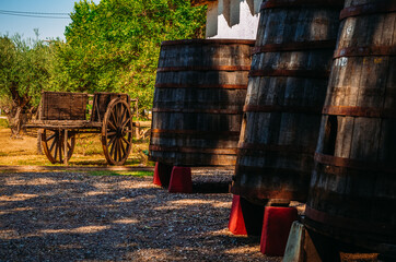 Barricas en bodega. Antigua bodega con barricas y carruaje.