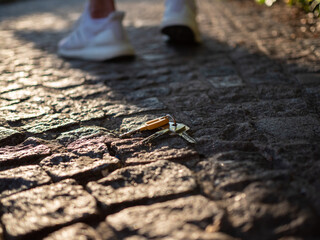 A man walking away after losing his keys on the sidewalk