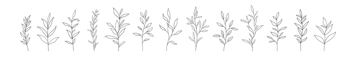 Set of vector tree branches and leaves. Hand drawn floral elements.