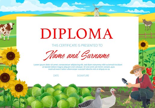 School or kindergarten diploma, vector certificate with farmer working in garden with fowl, donkey and cow graze on field. Education kids cartoon frame template with villager work on country farm
