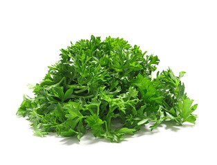 Fototapeta premium Fresh green parsley bunch, healthy culinary herb for cooking and garnish, isolated on a white background