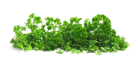 Naklejka premium Fresh parsley on white background