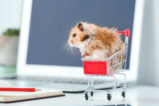 Cute Hamster In Small Shopping Cart On Table