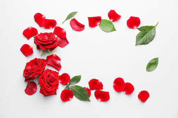 Beautiful red roses and leaves on white background