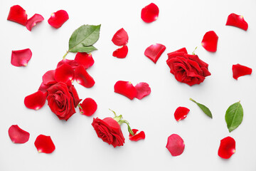 Beautiful red roses and petals on white background